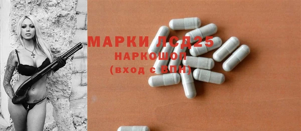 ешки Новодвинск