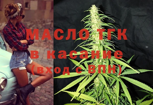ешки Новодвинск