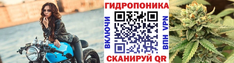 цена   Наволоки  Шишки марихуана гибрид 